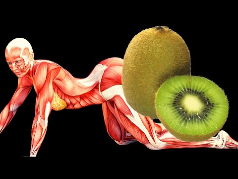 Comparativa de azúcar: kiwi vs piña ¿Cuál tiene más?